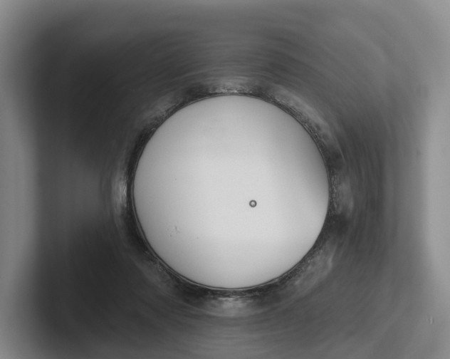 X0000102280310200808081508