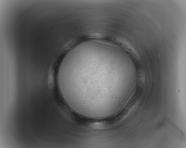 X0000102280312200808081507