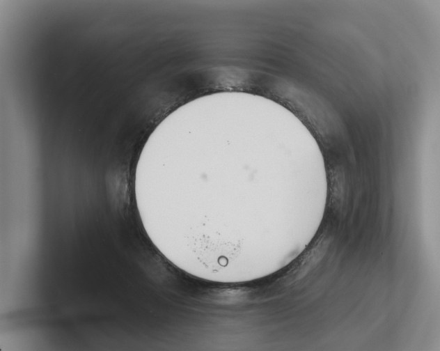 X0000102280313200808081507