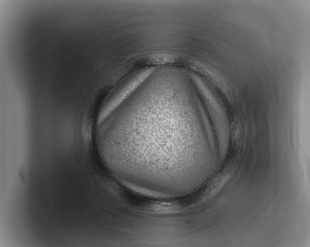 X0000102280315200808081507