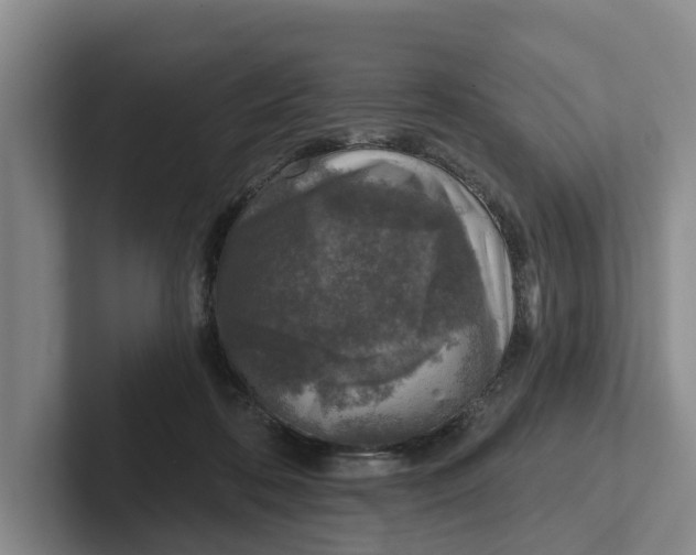 X0000102280316200808081507