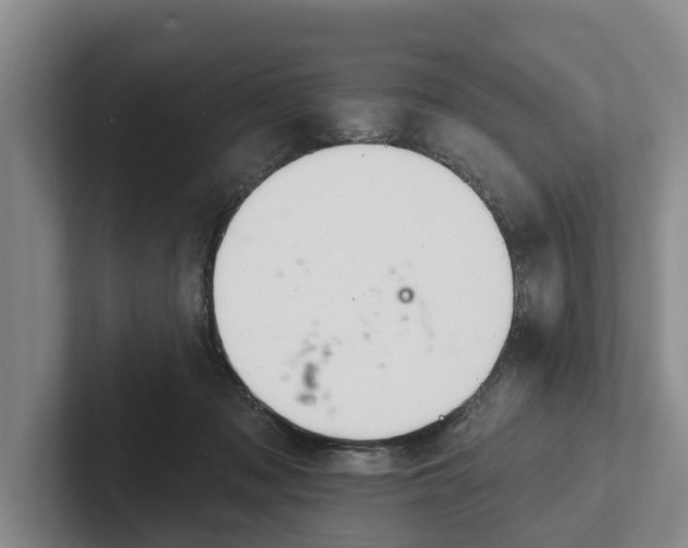 X0000102280317200808081507