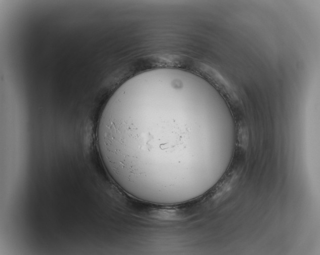 X0000102280318200808081507