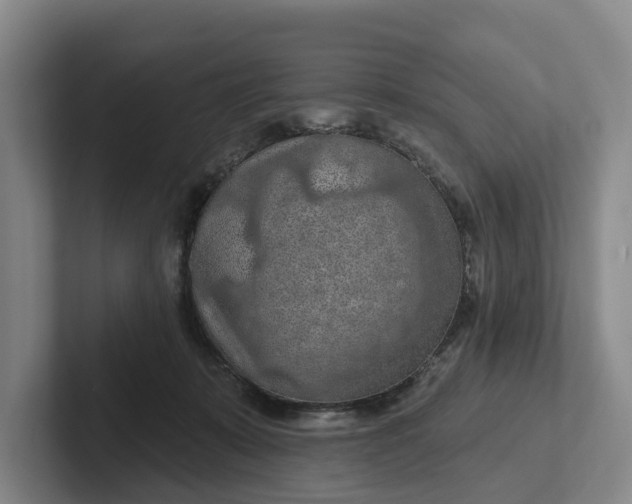 X0000102280319200808081507