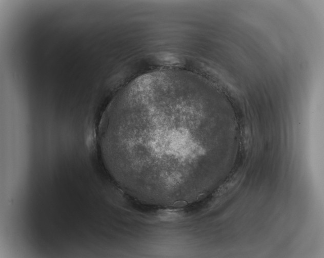 X0000102280320200808081507