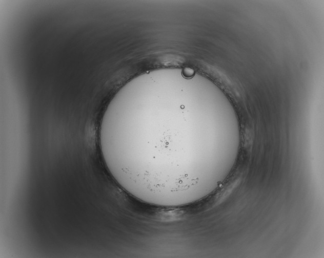 X0000102280321200808081507