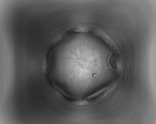 X0000102280322200808081507