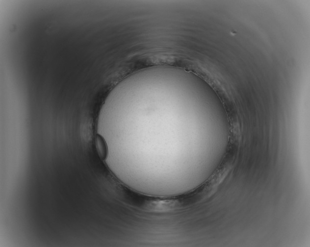 X0000102280323200808081507