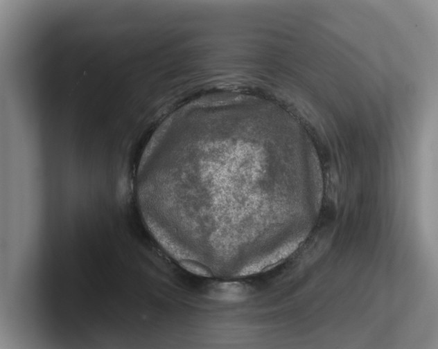 X0000102280324200808081507