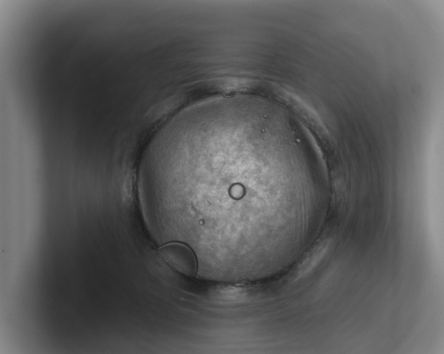 X0000102280325200808081507