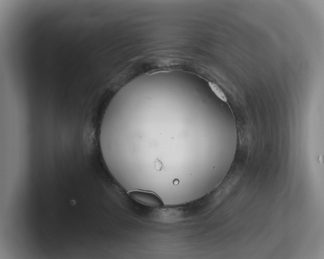 X0000102280327200808081507