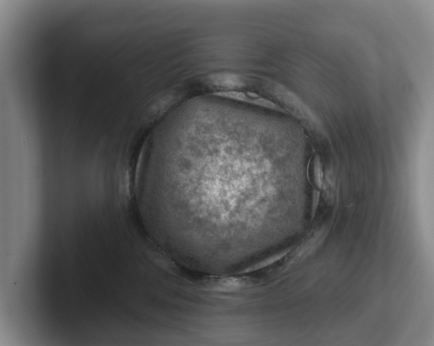 X0000102280330200808081507