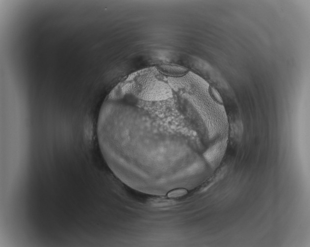 X0000102280331200808081507