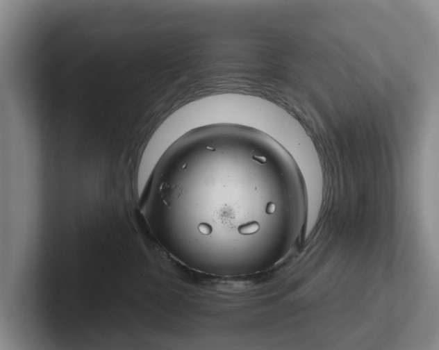 X0000102280332200808081507