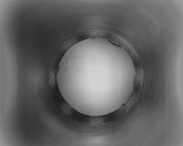 X0000102280333200808081507