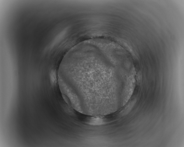 X0000102280335200808081507