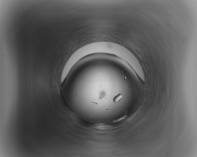 X0000102280336200808081507