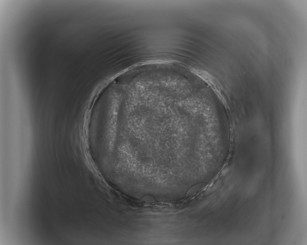 X0000102280337200808081507