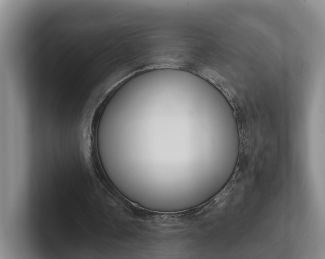 X0000102280338200808081507