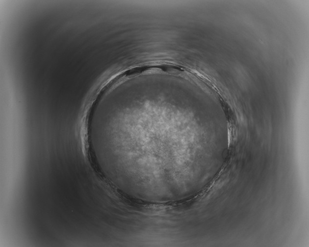 X0000102280339200808081507