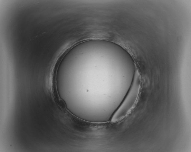 X0000102280340200808081507