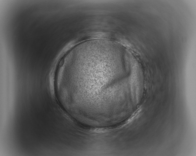 X0000102280341200808081507