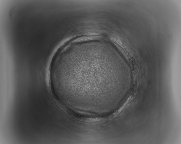 X0000102280342200808081507