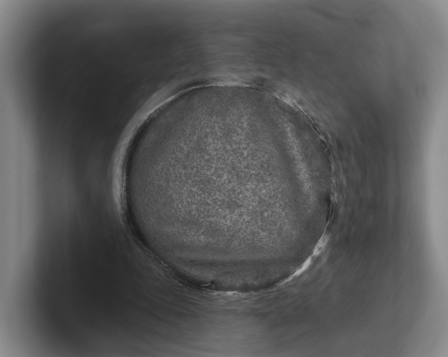 X0000102280343200808081507