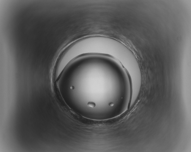 X0000102280344200808081507