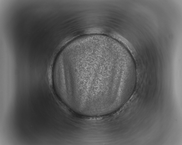 X0000102280345200808081507