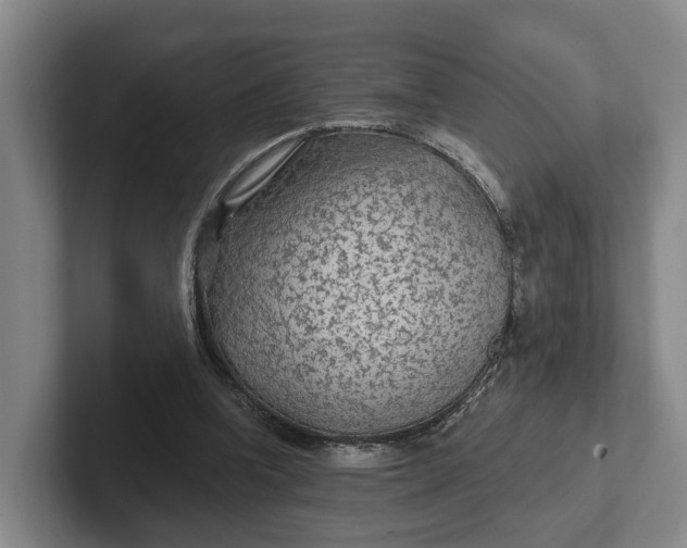 X0000102280346200808081507