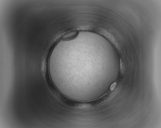 X0000102280348200808081507