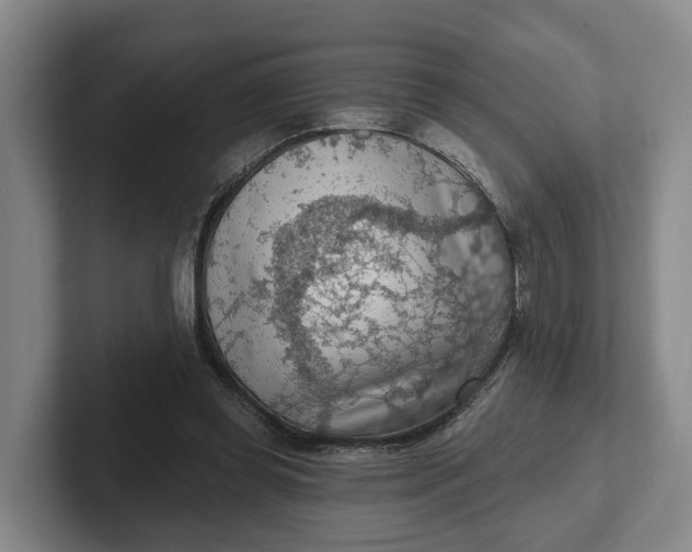 X0000102280349200808081507