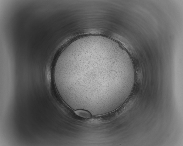 X0000102280350200808081507