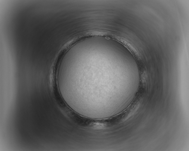 X0000102280352200808081507