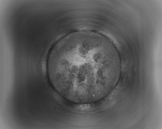 X0000102280353200808081507