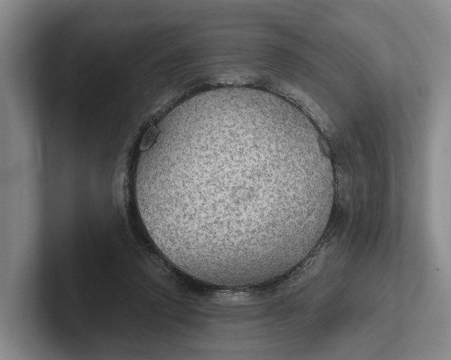 X0000102280354200808081507