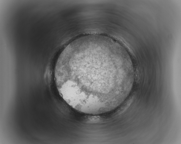 X0000102280355200808081507