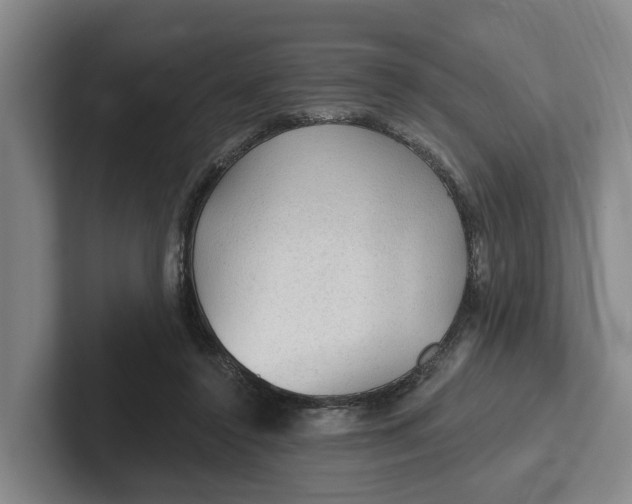 X0000102280356200808081507