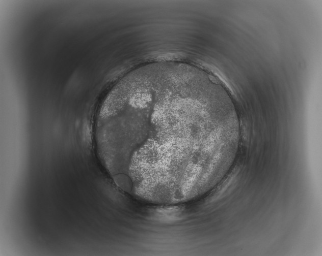 X0000102280357200808081507