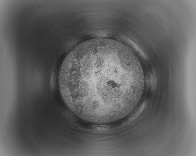 X0000102280359200808081507