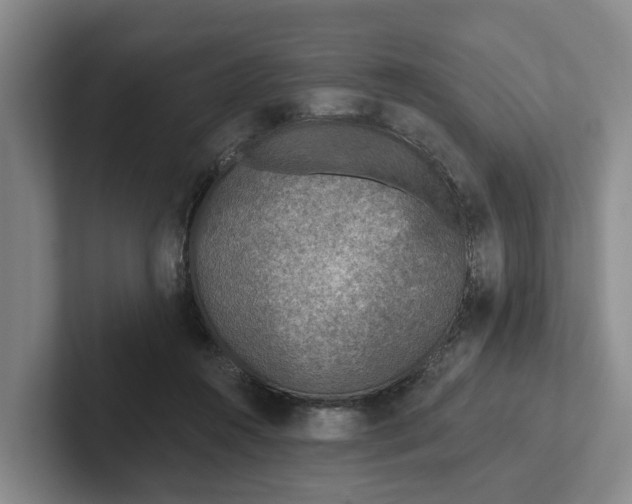 X0000102280360200808081507