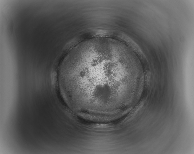 X0000102280361200808081507