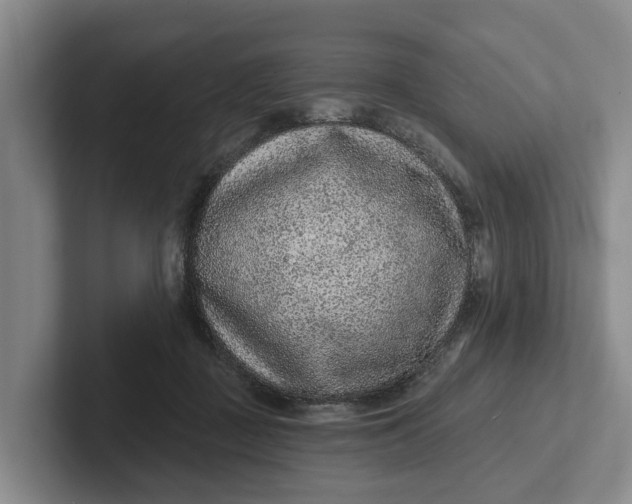 X0000102280363200808081507