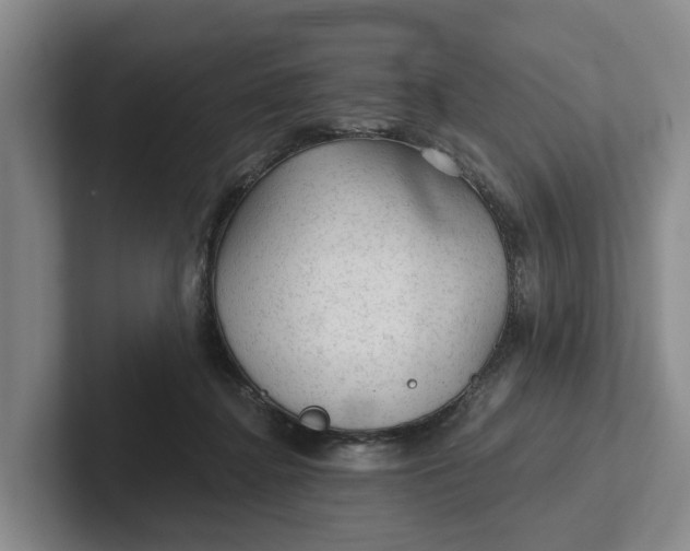 X0000102280364200808081507