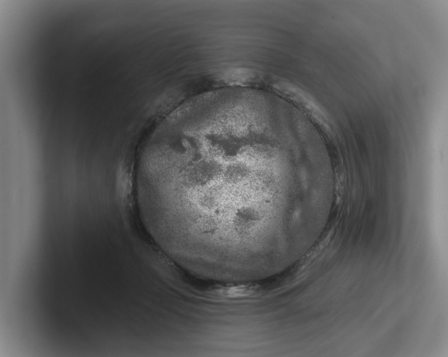 X0000102280365200808081507