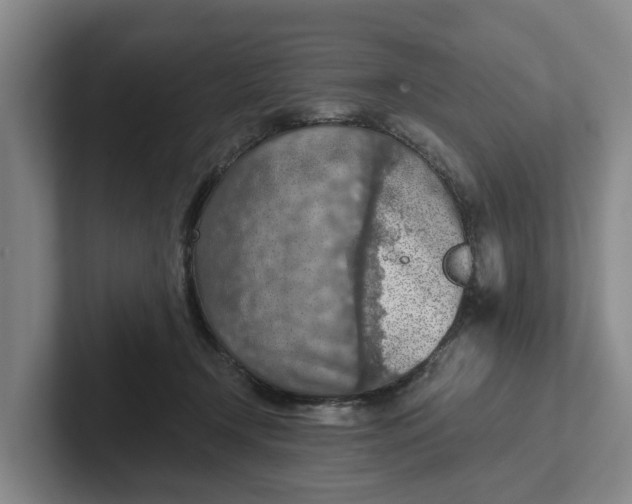 X0000102280366200808081507