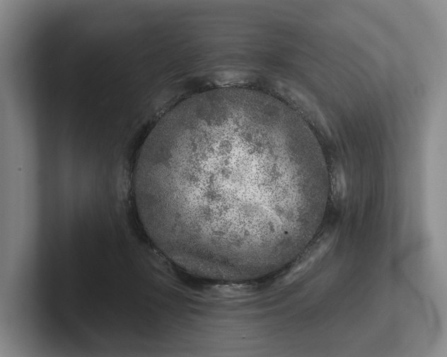 X0000102280367200808081507