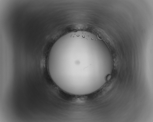 X0000102280368200808081507