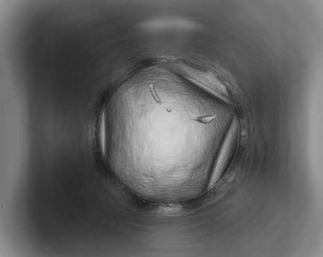 X0000102280369200808081507